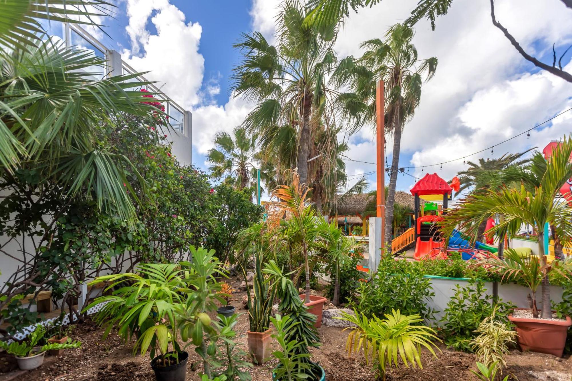 Maho Beach House - Grand Studio - Oceanview Suite 외부 사진